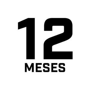 12 MESES