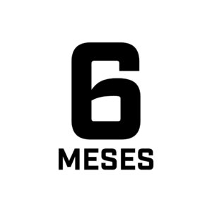 6 MESES